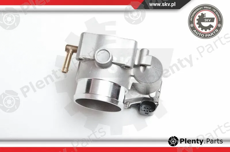 Esen SKV 12SKV008 — Throttle Body