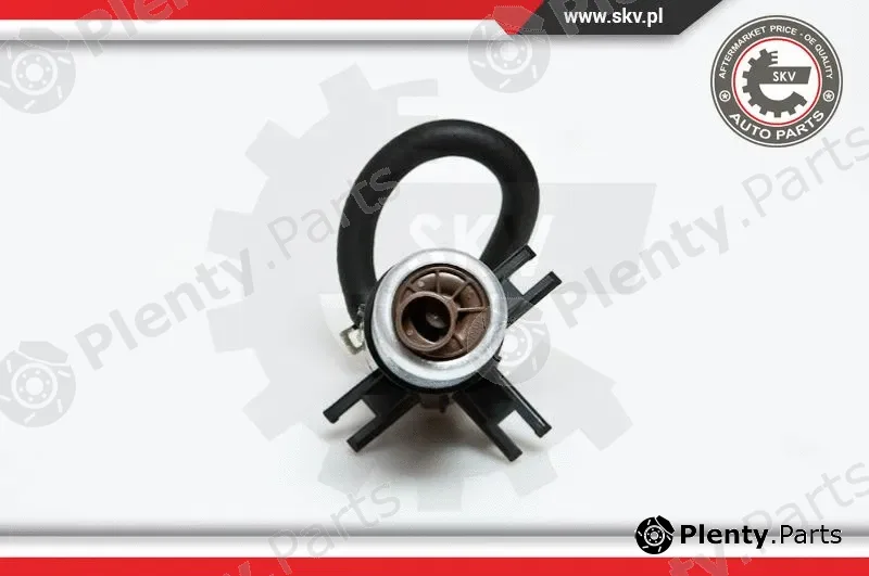 Esen SKV 02SKV729 — Fuel Feed Unit