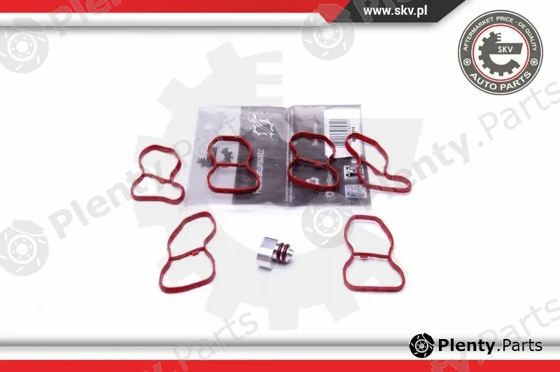 Esen SKV 49SKV516 — Repair Kit, intake manifold module