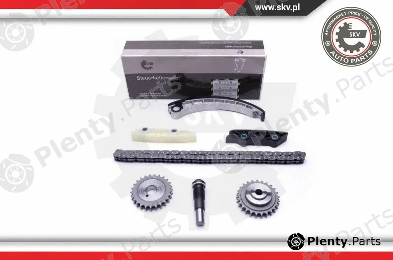 Esen SKV 21SKV143 — Timing Chain Kit