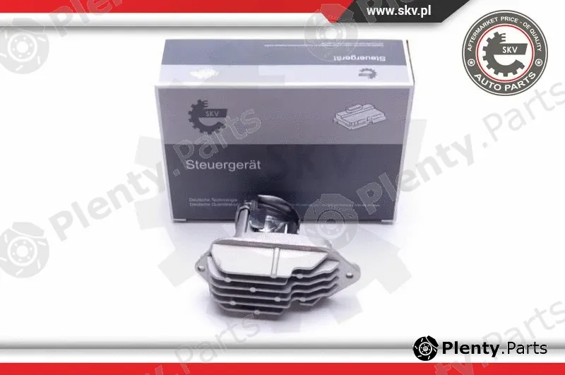 Esen SKV 59SKV138 — Control Unit, dynamic bending light
