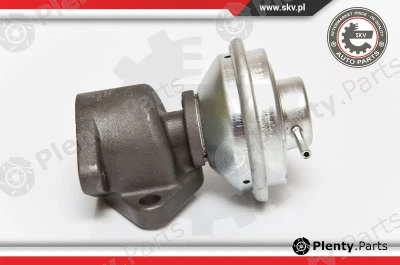 Esen SKV 14SKV051 — EGR Valve