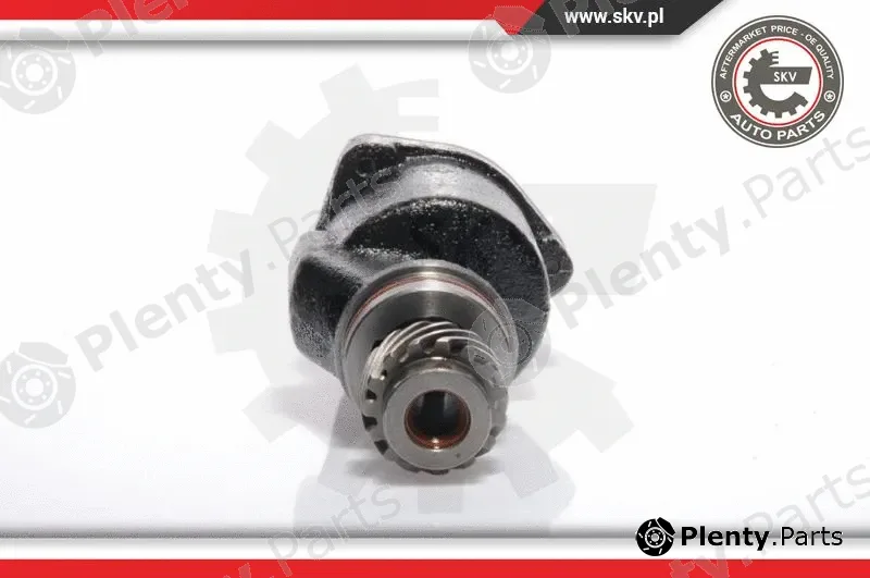 Esen SKV 18SKV001 — Vacuum Pump, braking system