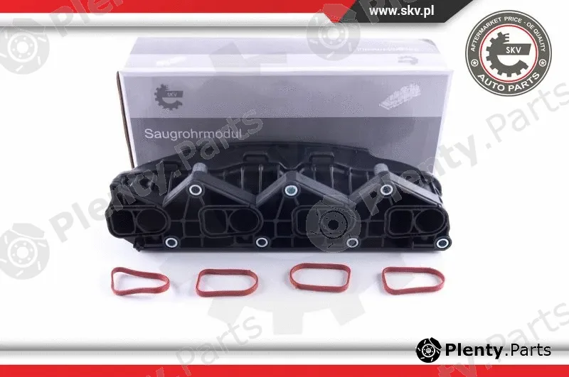 Esen SKV 49SKV057 — Intake Manifold Module
