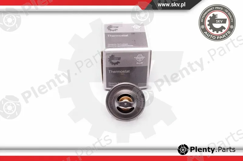 Esen SKV 20SKV058 — Thermostat, coolant