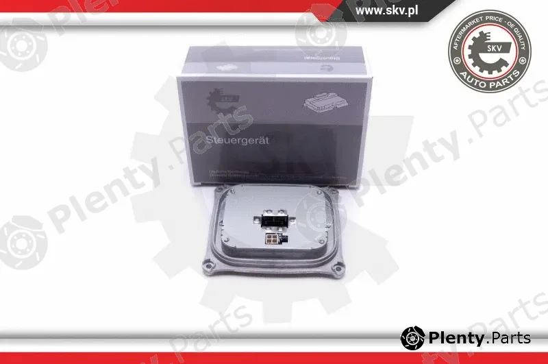 Esen SKV 59SKV002 — Control Unit, lights