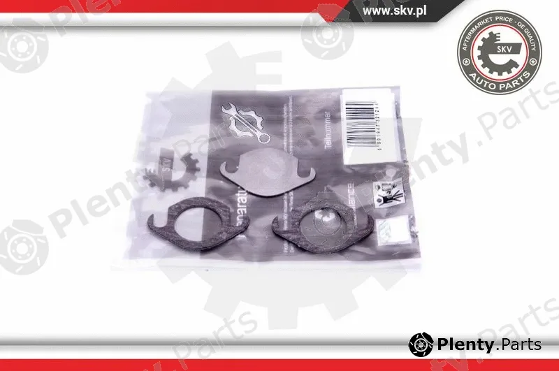 Esen SKV 14SKV506 — Repair Set, EGR valve