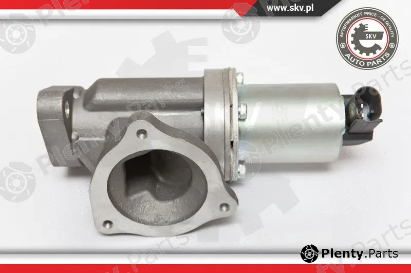 Esen SKV 14SKV054 — EGR Valve