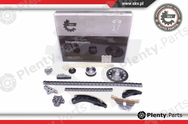 Esen SKV 21SKV176 — Timing Chain Kit