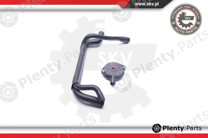 Esen SKV 31SKV101 — Repair Kit, crankcase ventilation