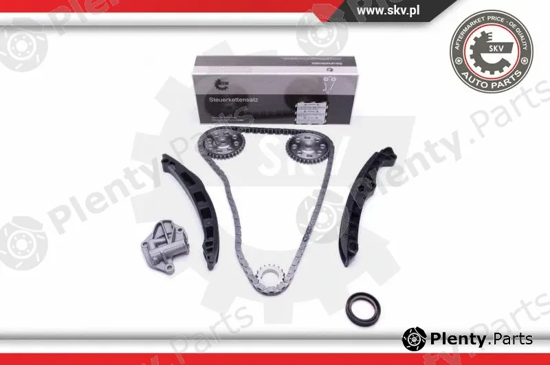 Esen SKV 21SKV147 — Timing Chain Kit