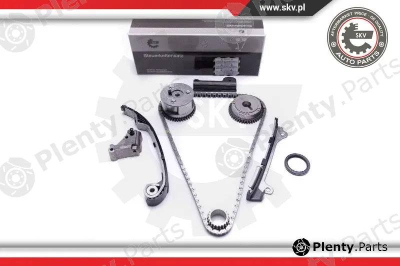 Esen SKV 21SKV194 — Timing Chain Kit