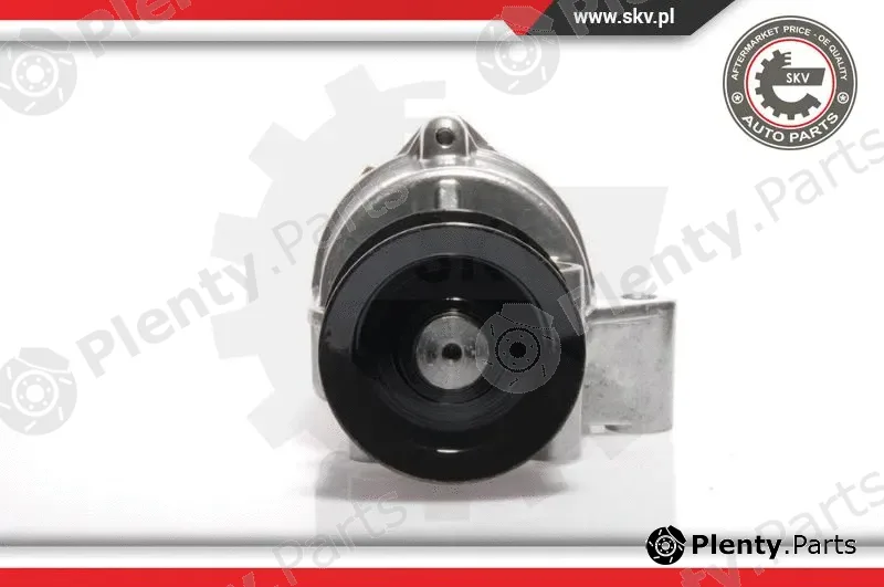 Esen SKV 18SKV002 — Vacuum Pump, braking system