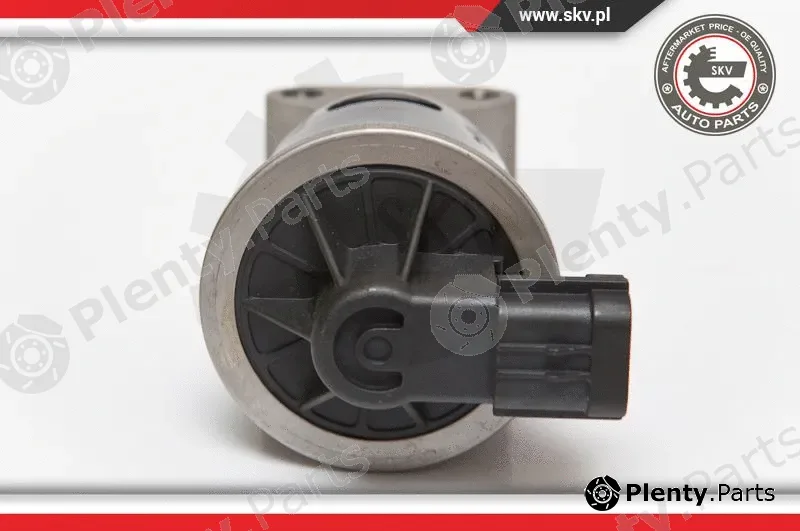 Esen SKV 14SKV053 — EGR Valve