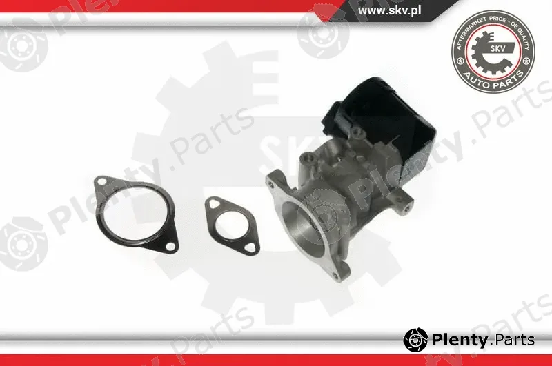 Esen SKV 14SKV057 — EGR Valve