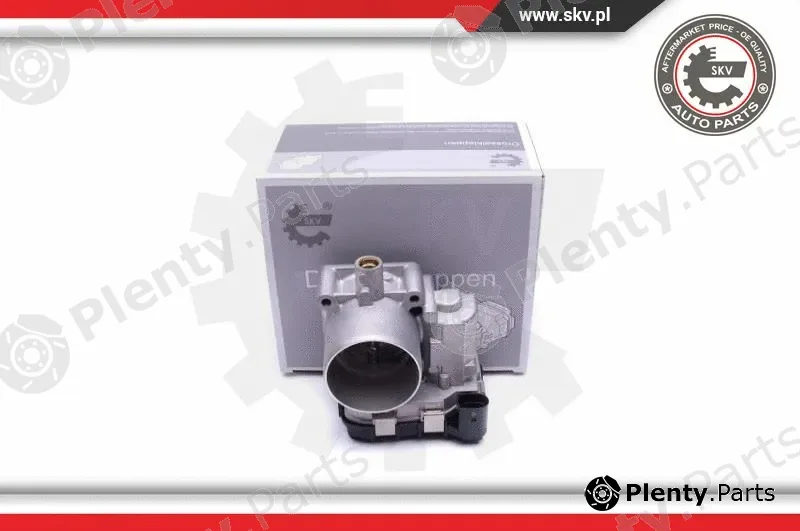Esen SKV 12SKV078 — Throttle Body
