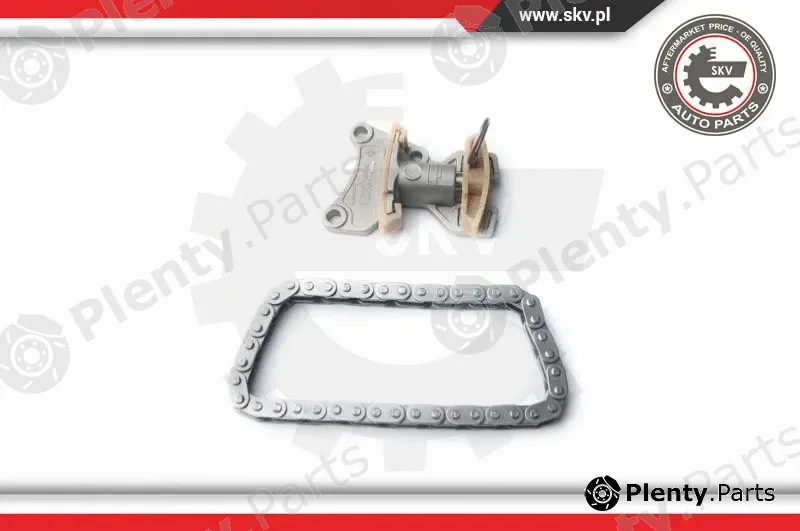 Esen SKV 21SKV020 — Timing Chain Kit