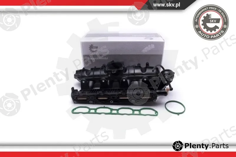 Esen SKV 49SKV060 — Intake Manifold Module