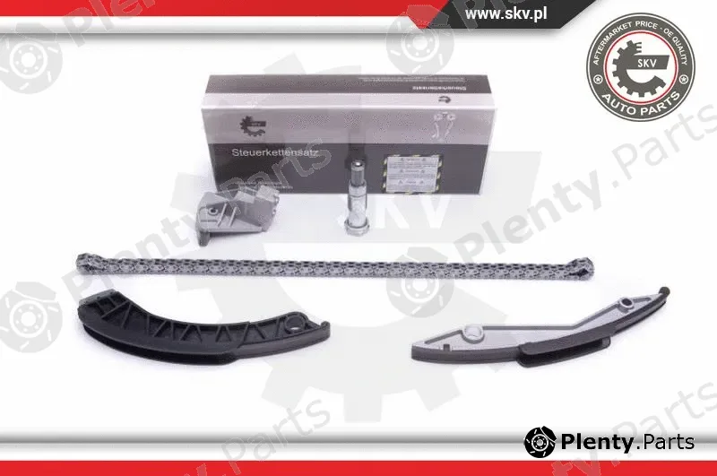 Esen SKV 21SKV134 — Timing Chain Kit