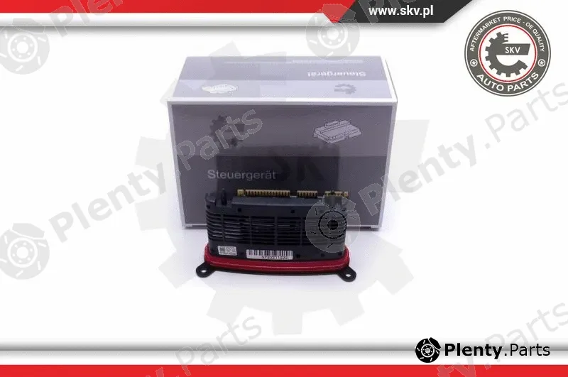 Esen SKV 59SKV156 — Control Unit, lights