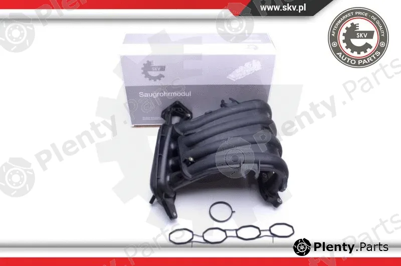 Esen SKV 49SKV023 — Intake Manifold Module