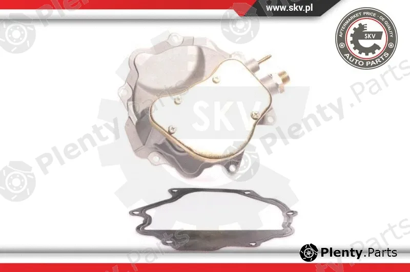 Esen SKV 18SKV007 — Vacuum Pump, braking system