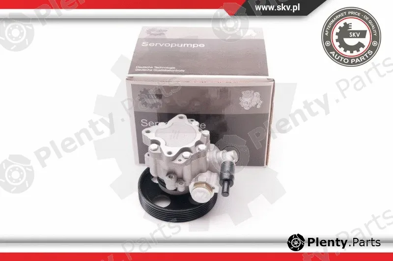 Esen SKV 10SKV197 — Hydraulic Pump, steering