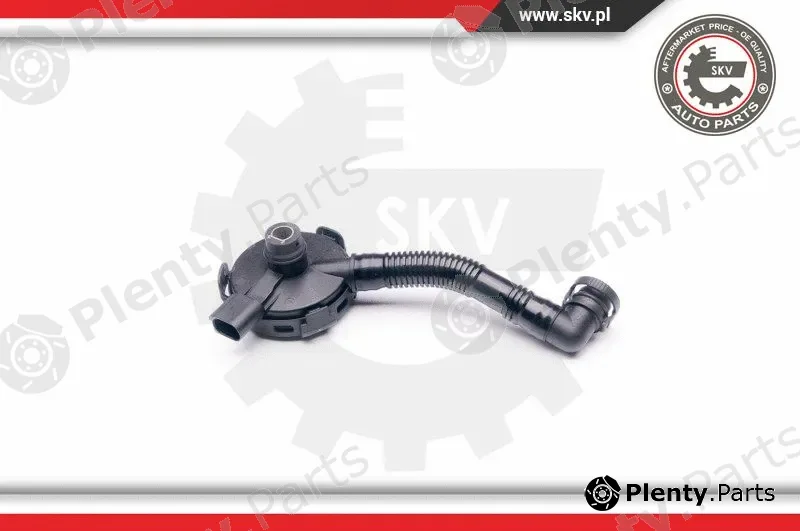 Esen SKV 31SKV020 — Valve, crankcase ventilation