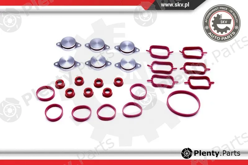 Esen SKV 96SKV045 — Gasket Set, intake manifold