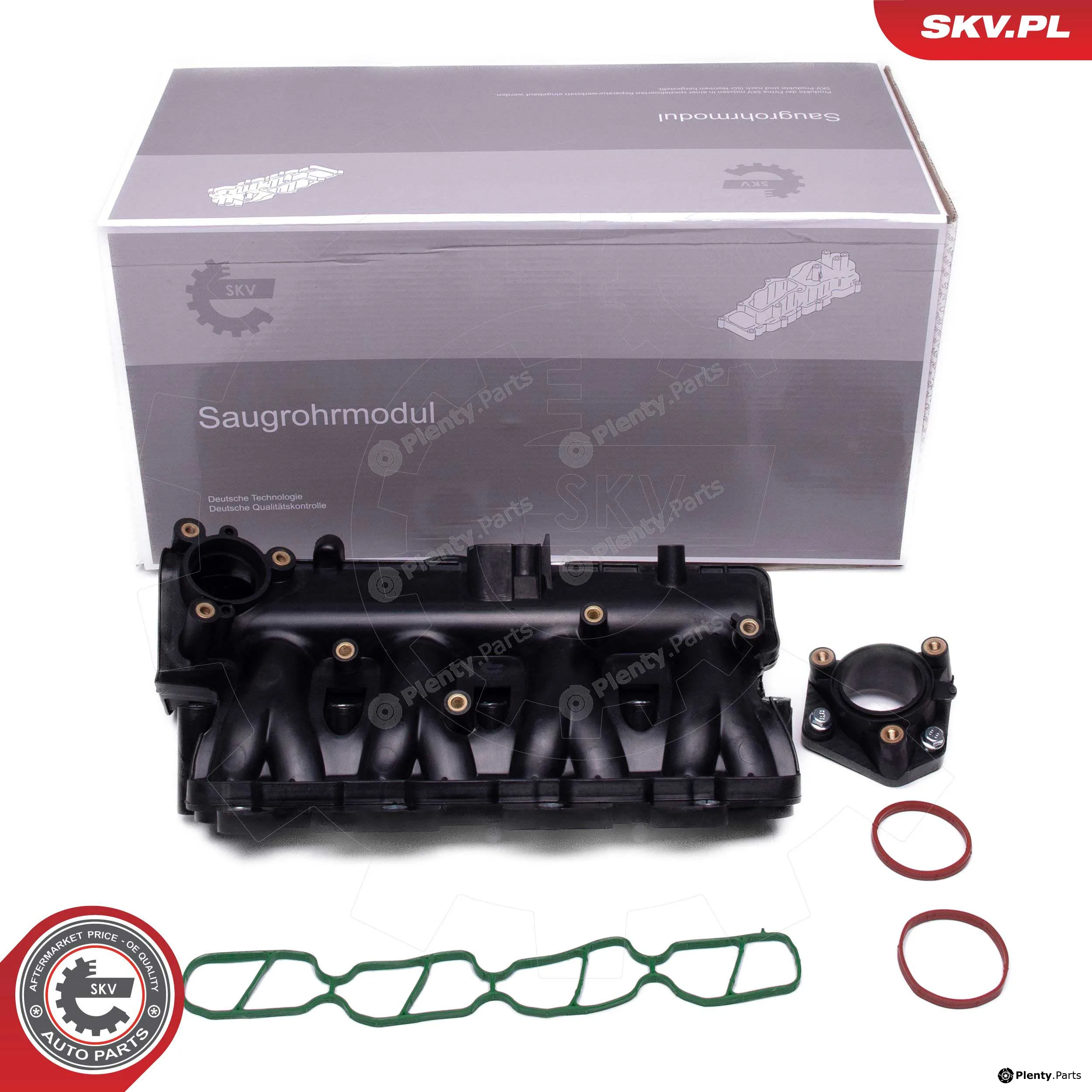 Esen SKV 49SKV081 — Intake Manifold Module