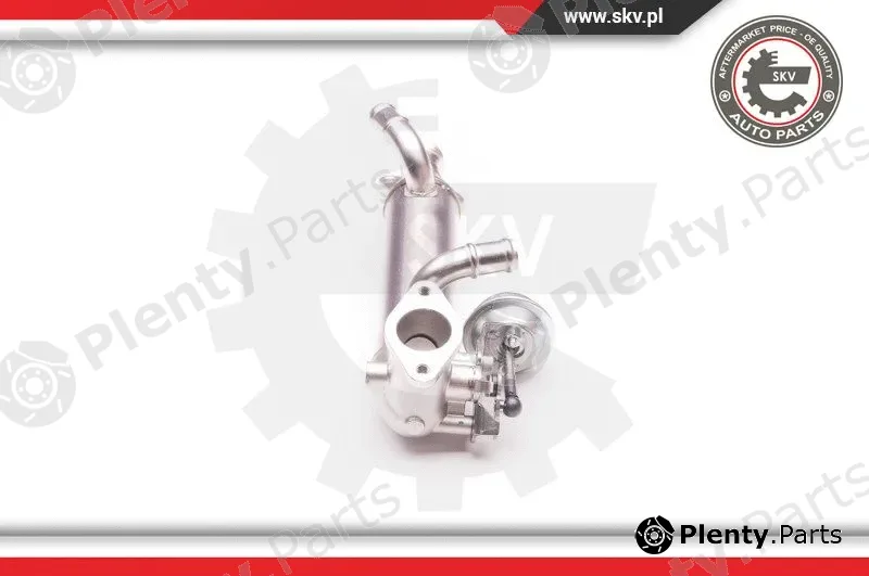 Esen SKV 14SKV119 — EGR Valve
