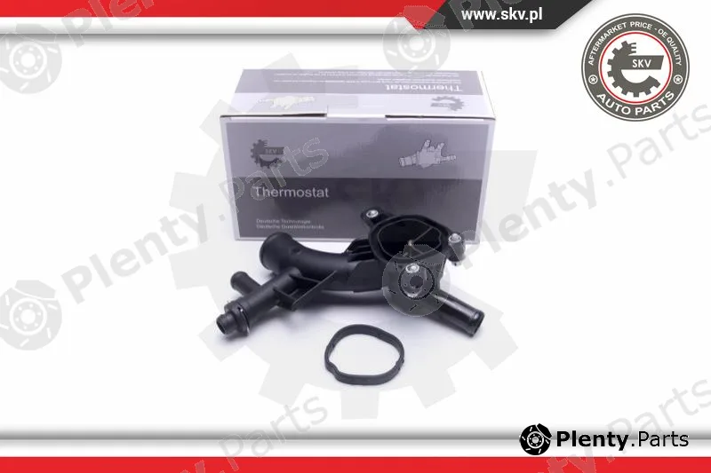 Esen SKV 20SKV145 — Coolant Flange