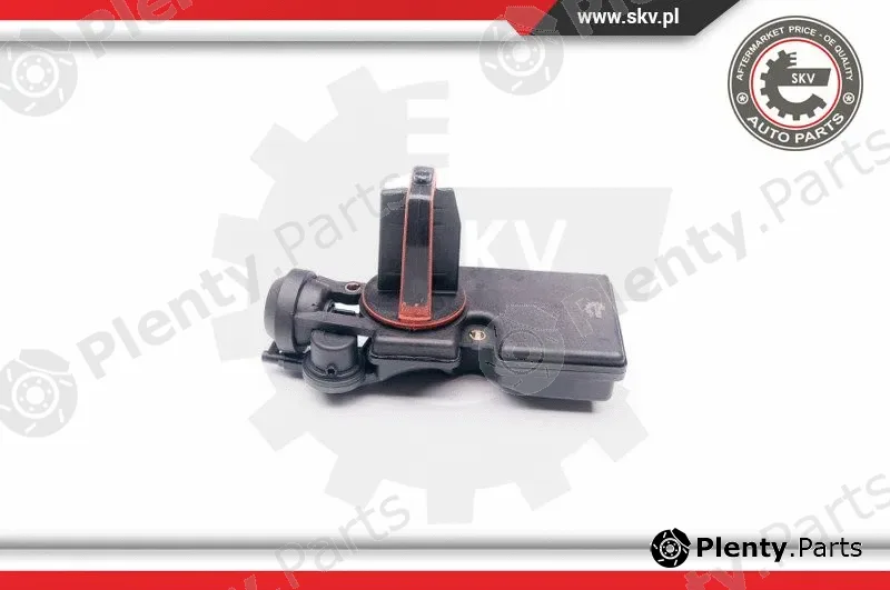 Esen SKV 31SKV046 — Control Valve, air intake