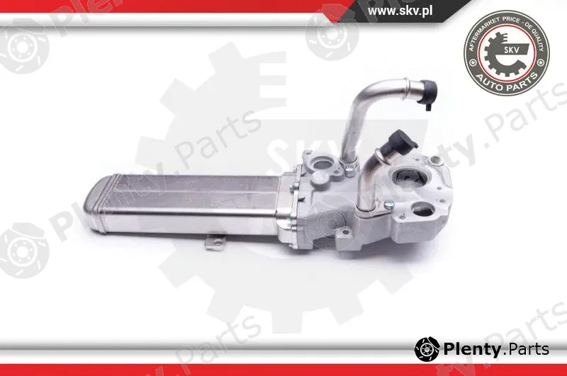 Esen SKV 14SKV137 — EGR Valve