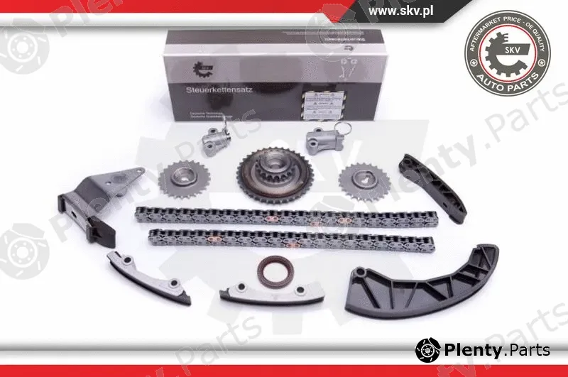 Esen SKV 21SKV224 — Timing Chain Kit