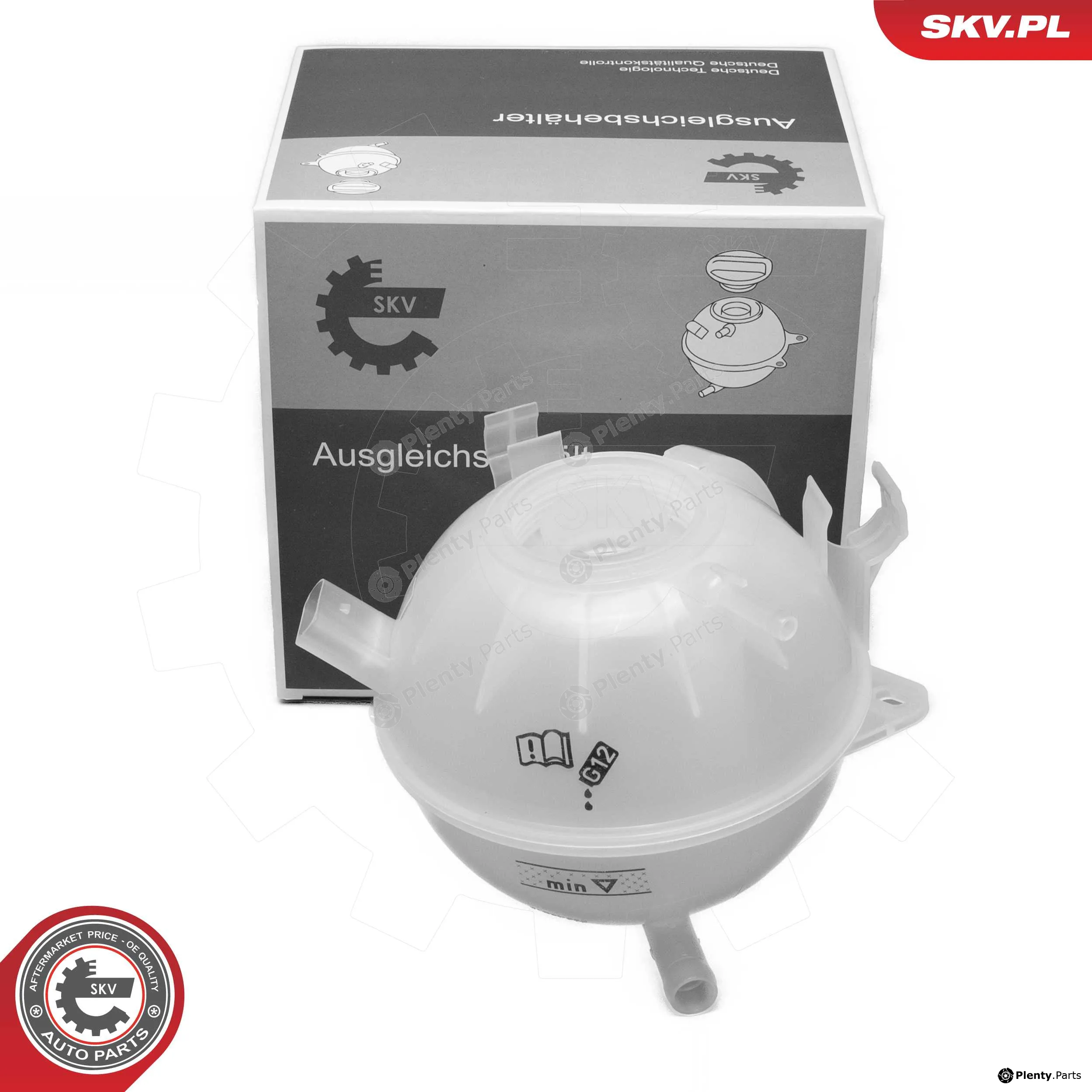 Esen SKV 61SKV305 — Expansion Tank, coolant