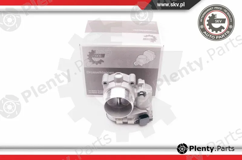 Esen SKV 12SKV053 — Throttle Body