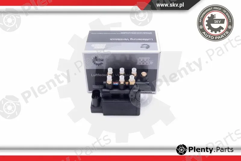 Esen SKV 93SKV811 — Valve, compressed-air system
