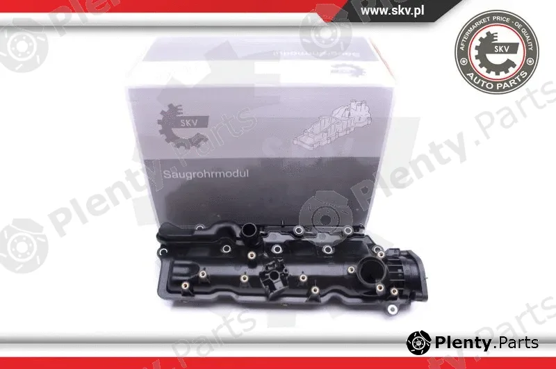 Esen SKV 49SKV005 — Intake Manifold Module