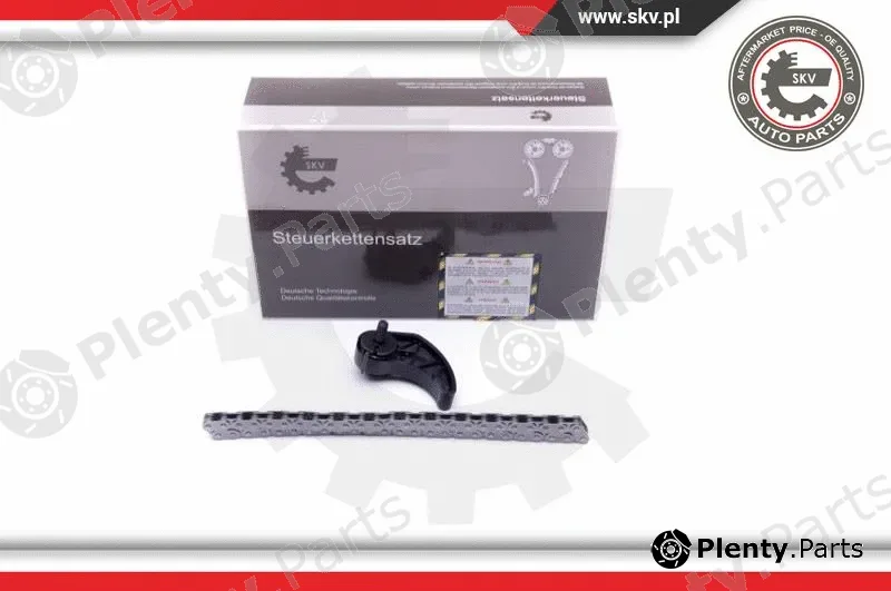 Esen SKV 21SKV101 — Chain Kit, oil pump drive