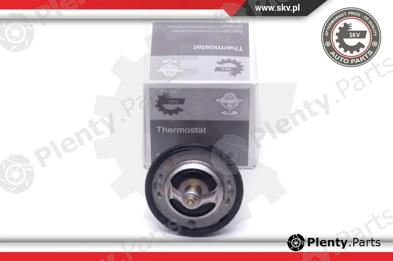 Esen SKV 20SKV131 — Thermostat, coolant