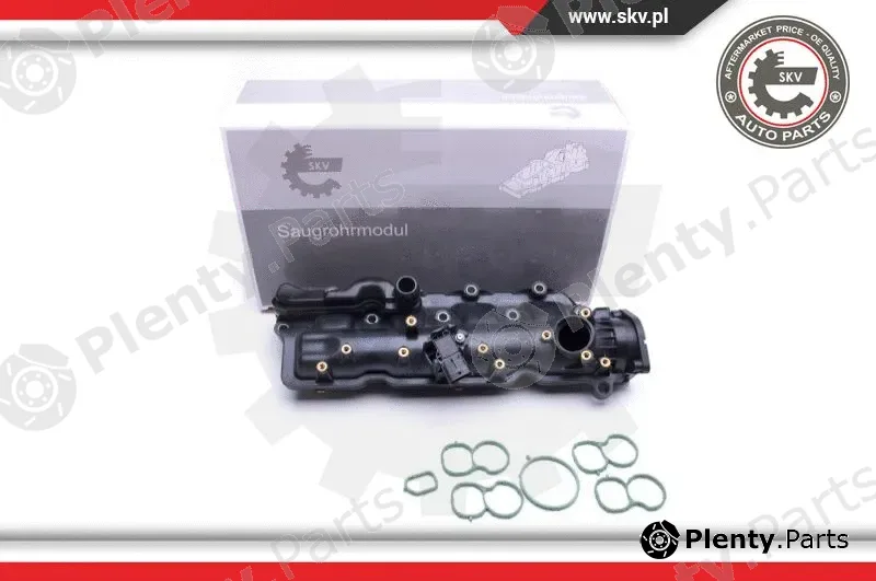 Esen SKV 49SKV024 — Intake Manifold Module