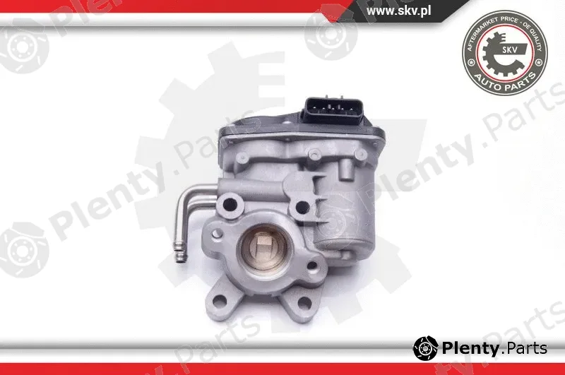 Esen SKV 14SKV102 — EGR Valve