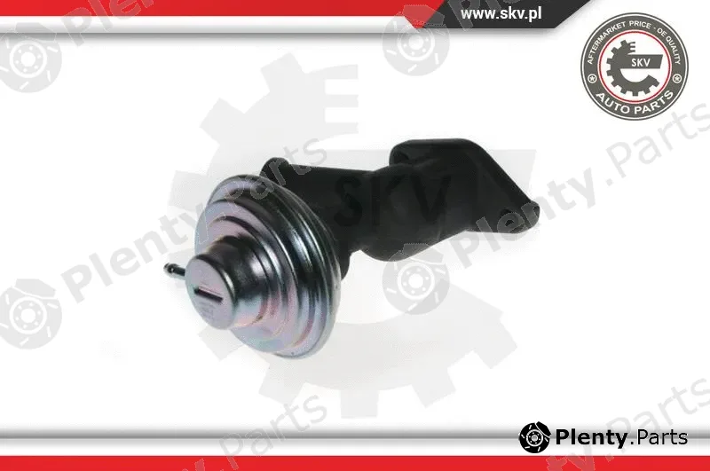 Esen SKV 14SKV077 — EGR Valve
