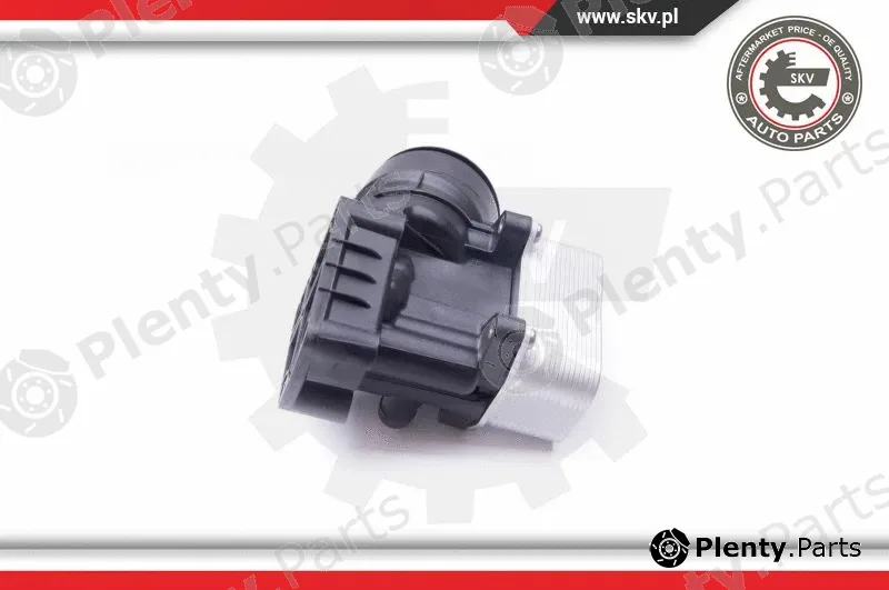 Esen SKV 31SKV054 — Housing, oil filter