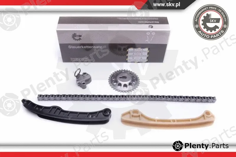 Esen SKV 21SKV211 — Timing Chain Kit