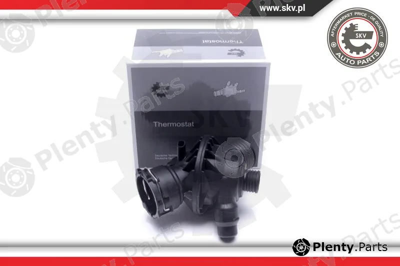 Esen SKV 20SKV181 — Thermostat, coolant