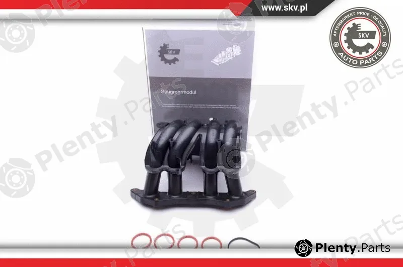 Esen SKV 49SKV044 — Intake Manifold Module