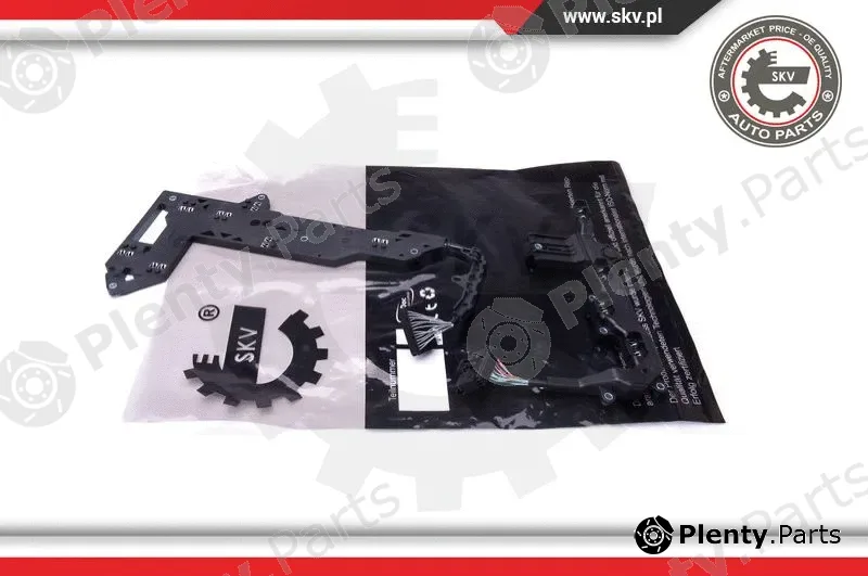 Esen SKV 96SKV065 — Repair Kit, automatic transmission flange