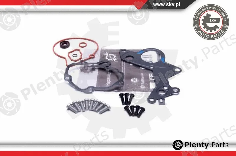 Esen SKV 18SKV801 — Repair Set, vacuum pump (braking system)